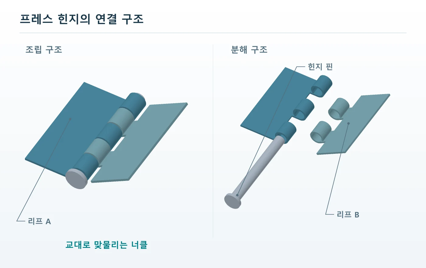 교대로 맞물리는 두 날개의 너클과 힌지 핀을 조립 및 분해 상태로 비교한 3D 도해